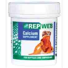 WEB CALCIUM SUPPLEMENT